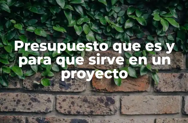 Presupuesto que es y para que Sirve en un Proyecto