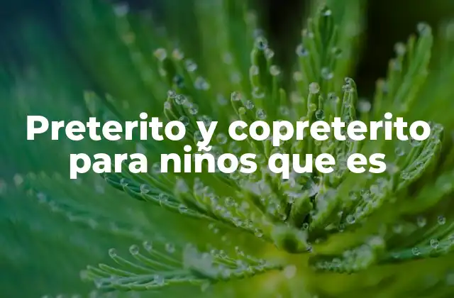 Cómo enseñar el pretérito y el copretérito a los niños