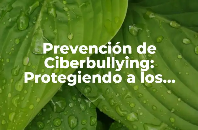 Prevención de Ciberbullying: Protegiendo a los Niños y Adolescentes en Línea