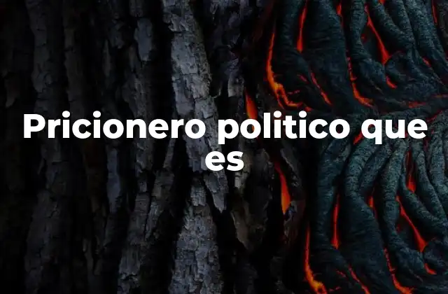 Pricionero Politico que es