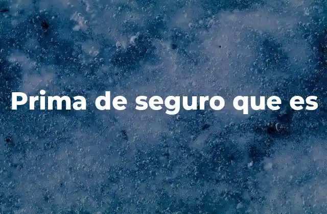 Prima de Seguro que es