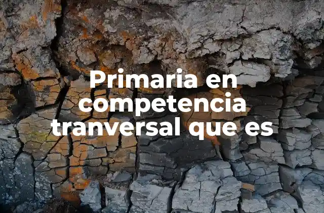 La importancia de las competencias transversales en el aula