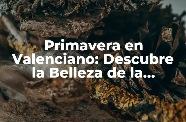 Primavera en Valenciano: Descubre la Belleza de la Comunidad Valenciana en Flor