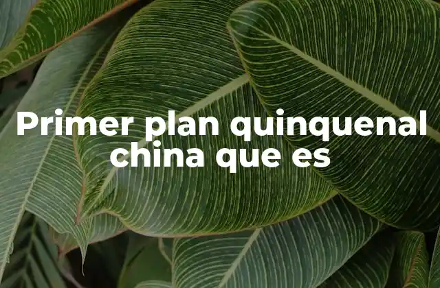 Primer Plan Quinquenal China que es