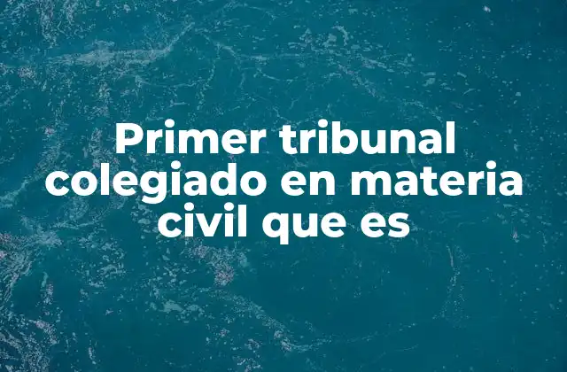 Primer Tribunal Colegiado en Materia Civil que es