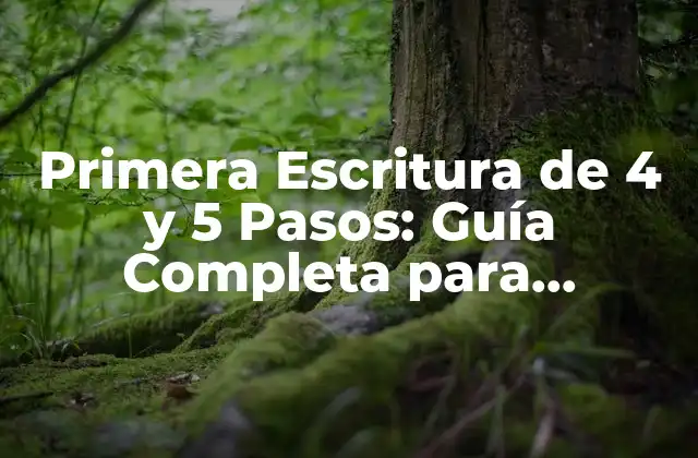 Primera Escritura de 4 y 5 Pasos: Guía Completa para Principiantes
