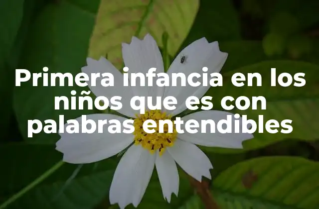 Primera Infancia en los Niños que es con Palabras Entendibles