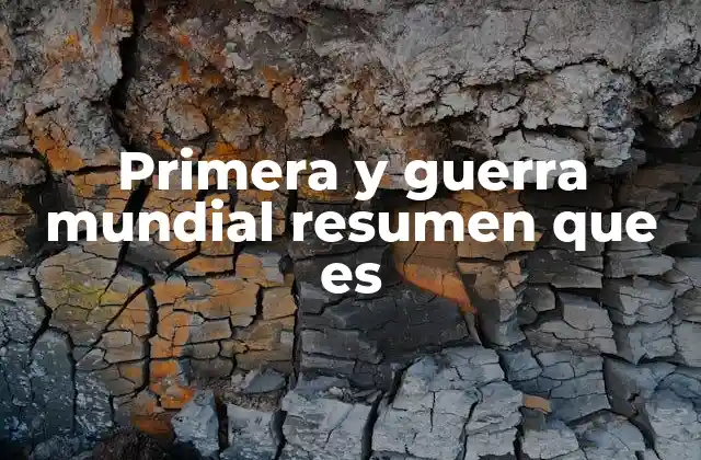 Primera y Guerra Mundial Resumen que es