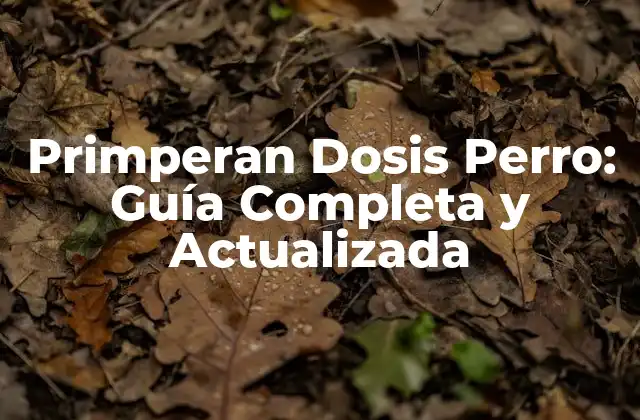 Primperan Dosis Perro: Guía Completa y Actualizada