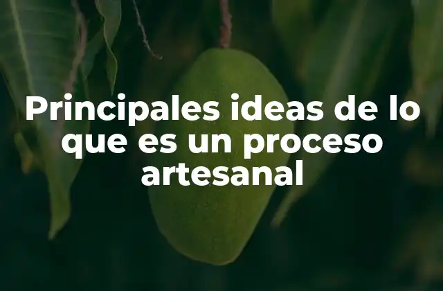 Principales Ideas de Lo que es un Proceso Artesanal
