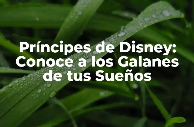 Los Primeros Príncipes de Disney