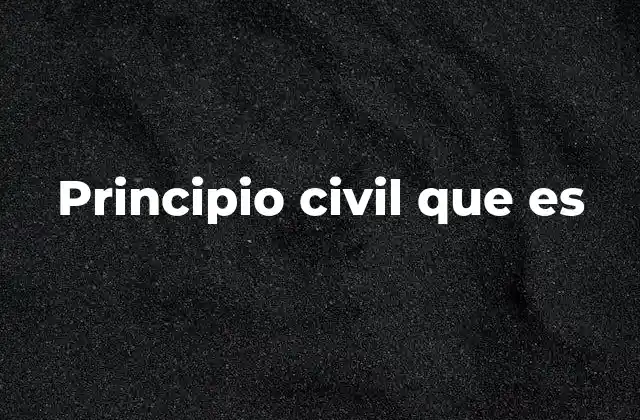 Principio Civil que es