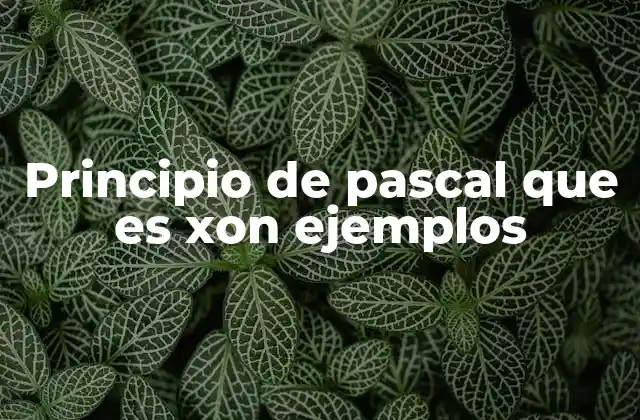 Principio de Pascal que es Xon Ejemplos