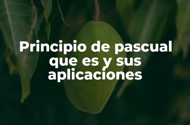 Principio de Pascual que es y Sus Aplicaciones