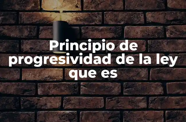 Principio de Progresividad de la Ley que es