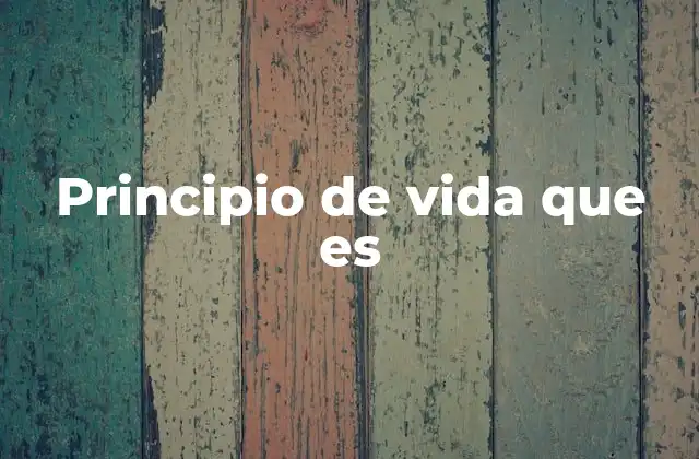 Principio de Vida que es