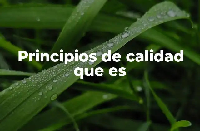 Principios de Calidad que es