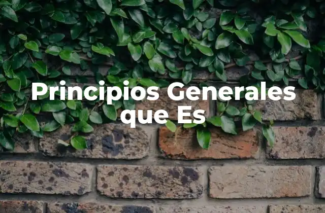 Principios Generales que es