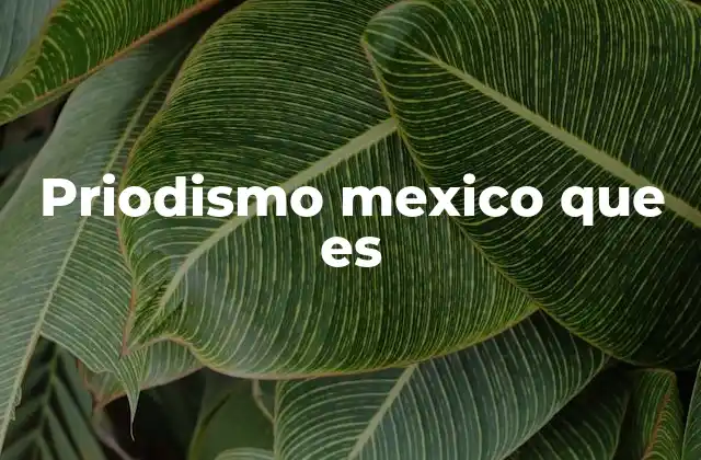 Priodismo Mexico que es