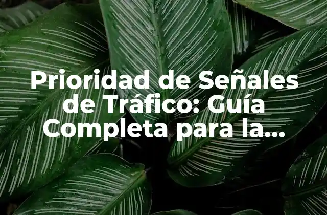 Prioridad de Señales de Tráfico: Guía Completa para la Gestión de Flujo Vehicular