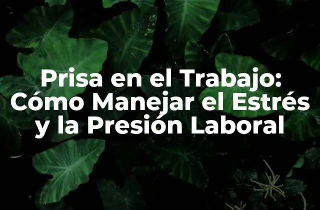 Prisa en el Trabajo: Cómo Manejar el Estrés y la Presión Laboral