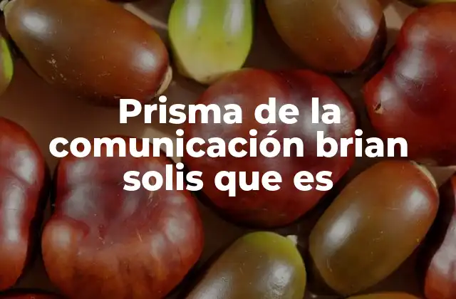 Prisma de la Comunicación Brian Solis que es