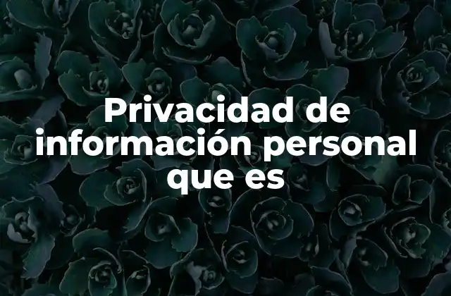 Privacidad de Información Personal que es 2 El papel de la privacidad en el entorno digital