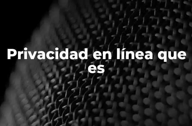 Privacidad en Línea que es