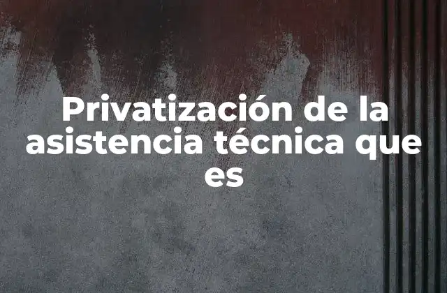 Privatización de la Asistencia Técnica que es