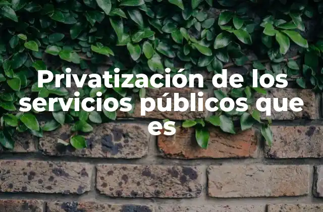 Privatización de los Servicios Públicos que es