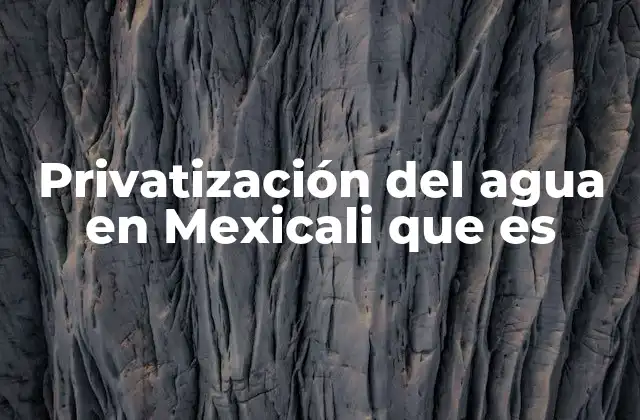 Privatización Del Agua en Mexicali que es