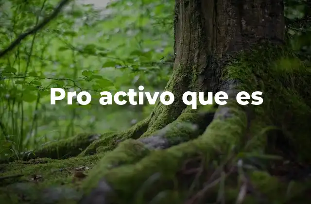 Pro Activo que es