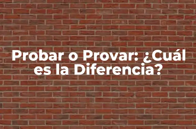 Probar o Provar: ¿cuál es la Diferencia?