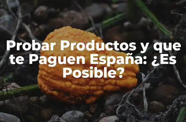 Probar Productos y que Te Paguen España: ¿es Posible?