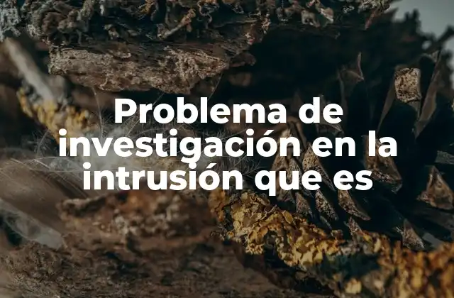 Problema de Investigación en la Intrusión que es