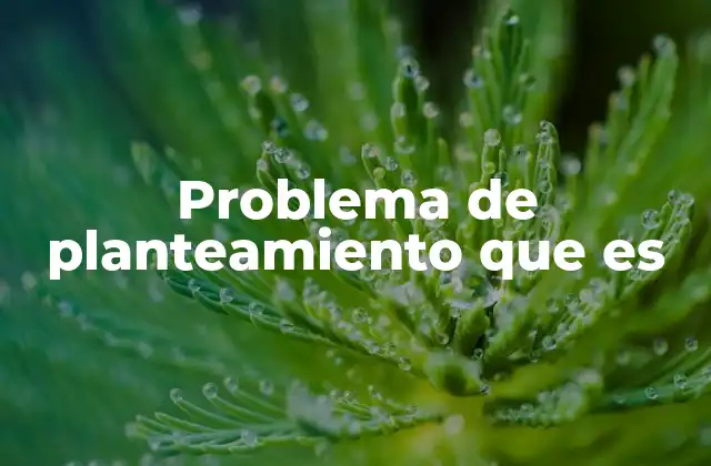 Problema de Planteamiento que es
