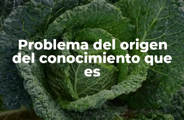 Las raíces de la cuestión epistemológica