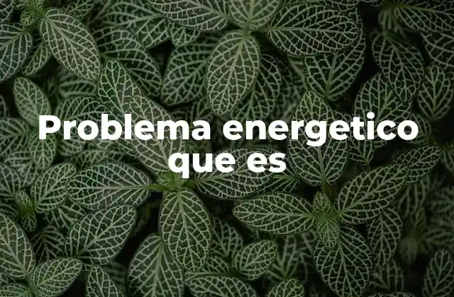 Problema Energetico que es