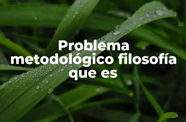 Problema Metodológico Filosofía que es