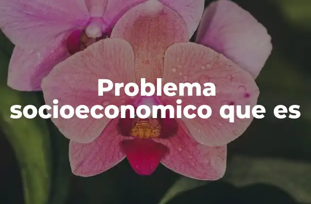 Problema Socioeconomico que es