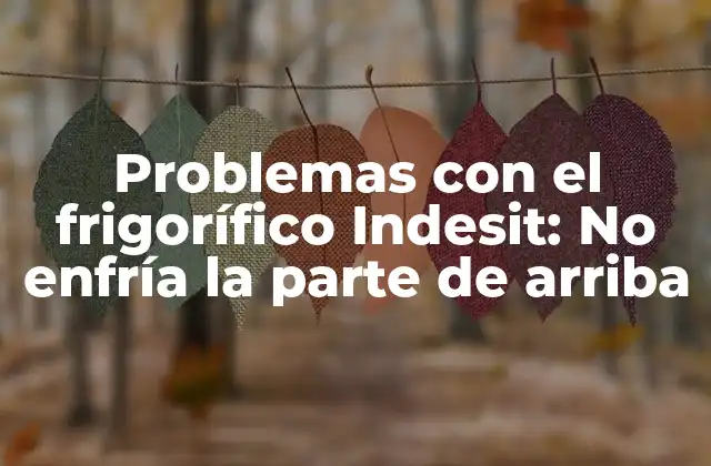 Problemas con el Frigorífico Indesit: No Enfría la Parte de Arriba