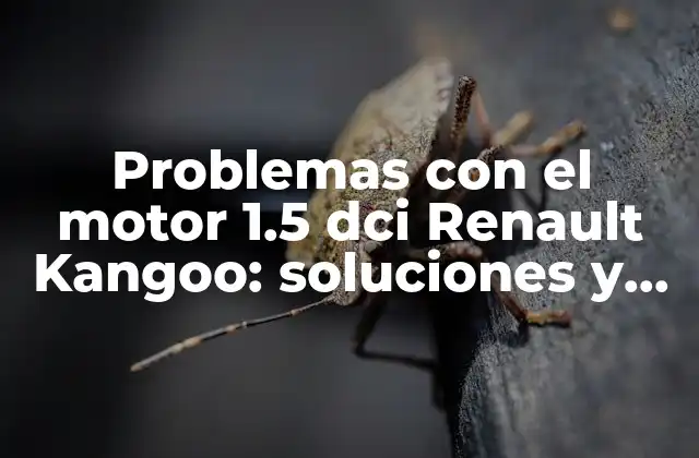 Problemas con el Motor 1.5 Dci Renault Kangoo: Soluciones y Consejos