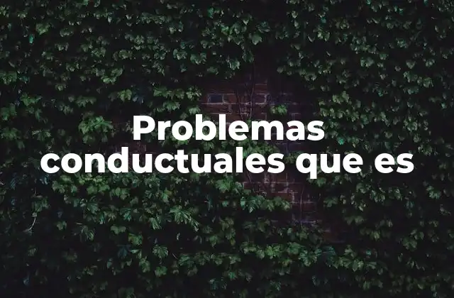 Problemas Conductuales que es 2 Cuándo los comportamientos se convierten en un problema