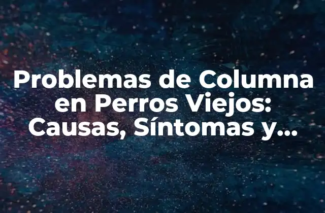 Problemas de Columna en Perros Viejos: Causas, Síntomas y Tratamiento