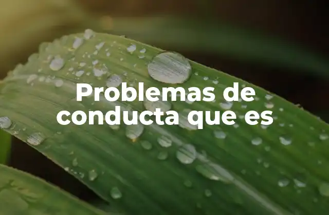Problemas de Conducta que es