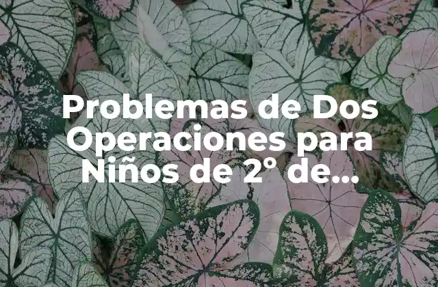 Problemas de Dos Operaciones para Niños de 2º de Primaria: Ejercicios y Actividades en Pdf