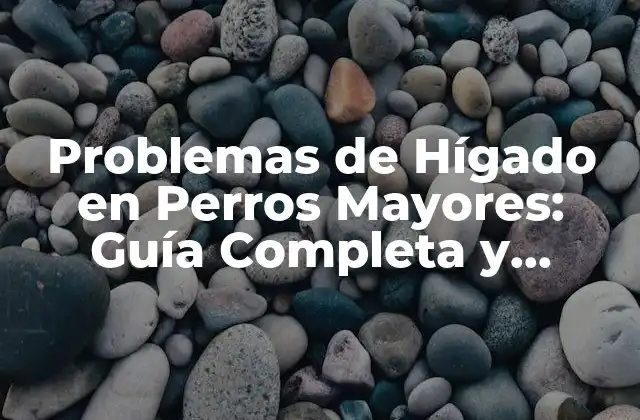 Causas de los Problemas de Hígado en Perros Mayores
