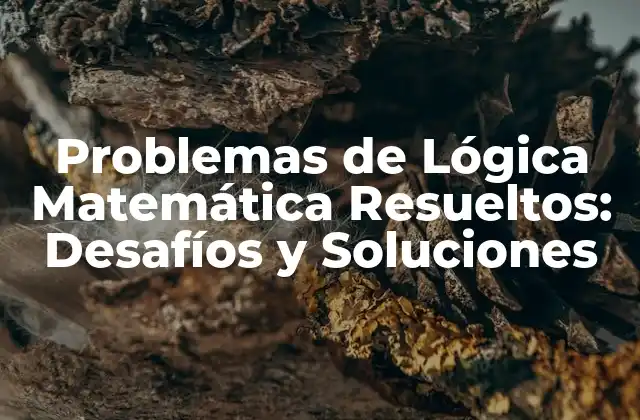 Problemas de Lógica Matemática Resueltos: Desafíos y Soluciones