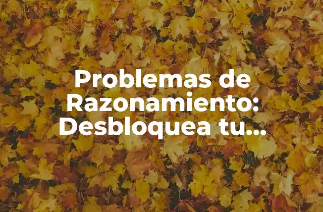 ¿Qué son los Problemas de Razonamiento?