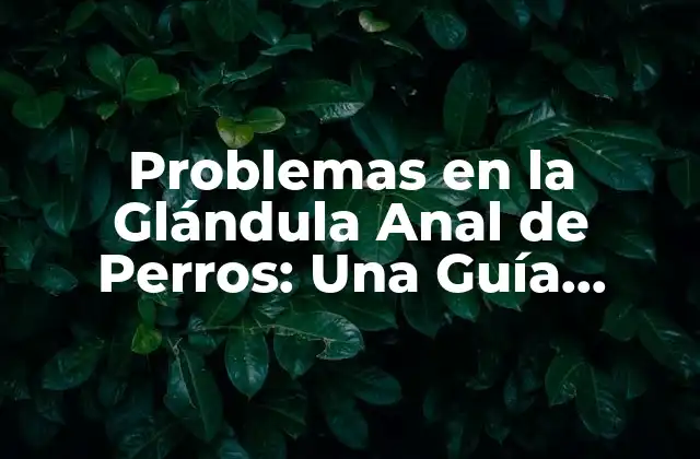 Problemas en la Glándula Anal de Perros: una Guía Completa